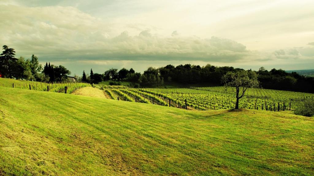 Agriturismo L'Uva E Le Stelle Faedis Экстерьер фото