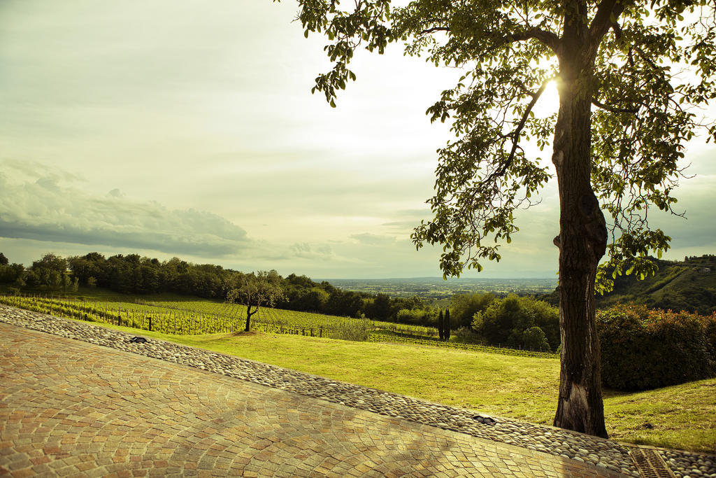 Agriturismo L'Uva E Le Stelle Faedis Экстерьер фото