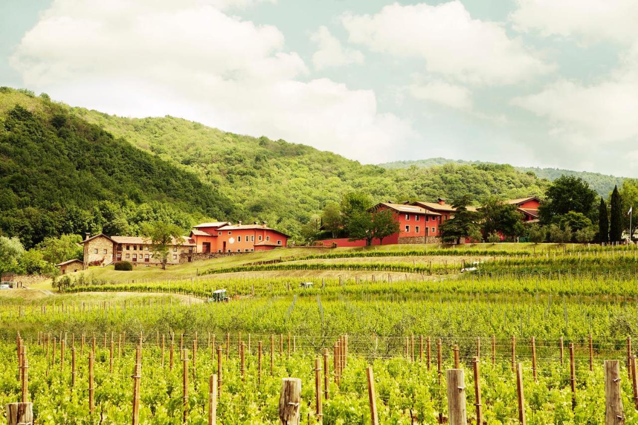 Agriturismo L'Uva E Le Stelle Faedis Экстерьер фото